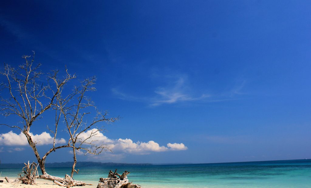 Mini Memoir – Postcards from&nbsp;Andaman