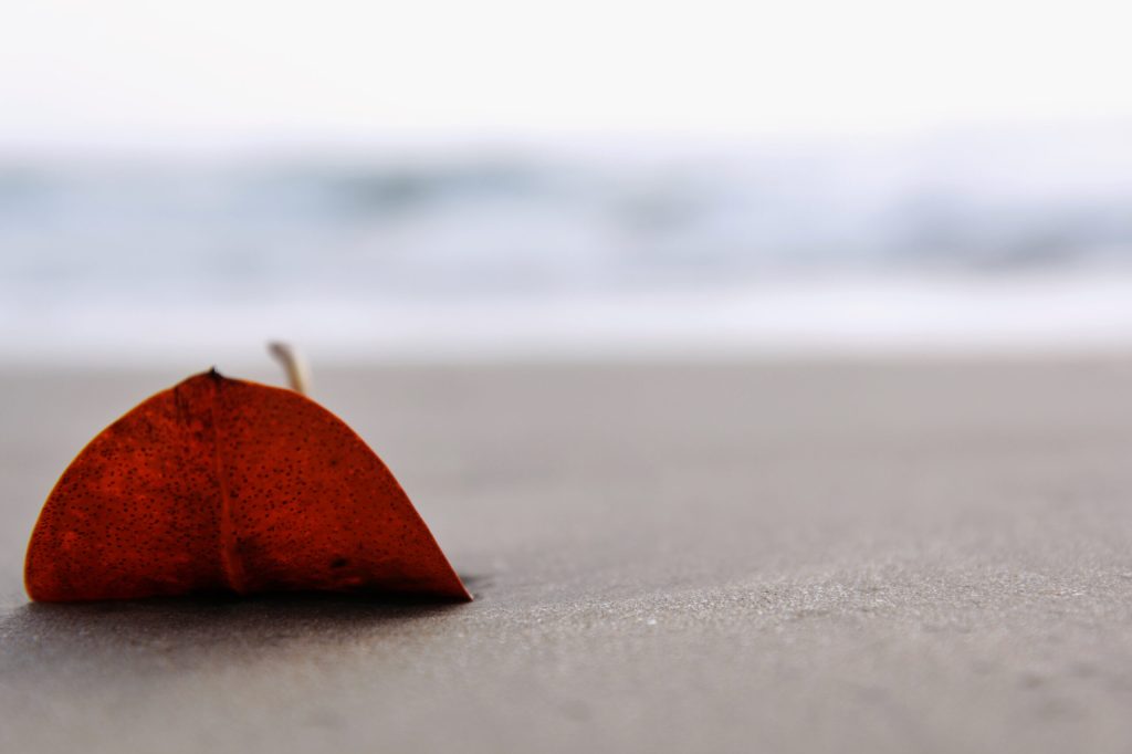 The infinite loop of joy and&nbsp;sorrow