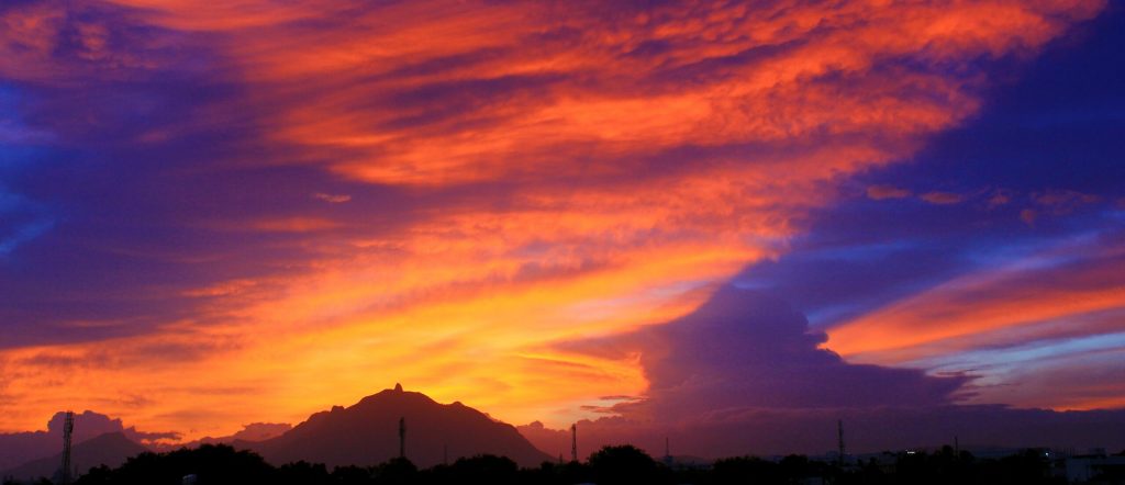 Coimbatore: Pure Bliss -Part&nbsp;1